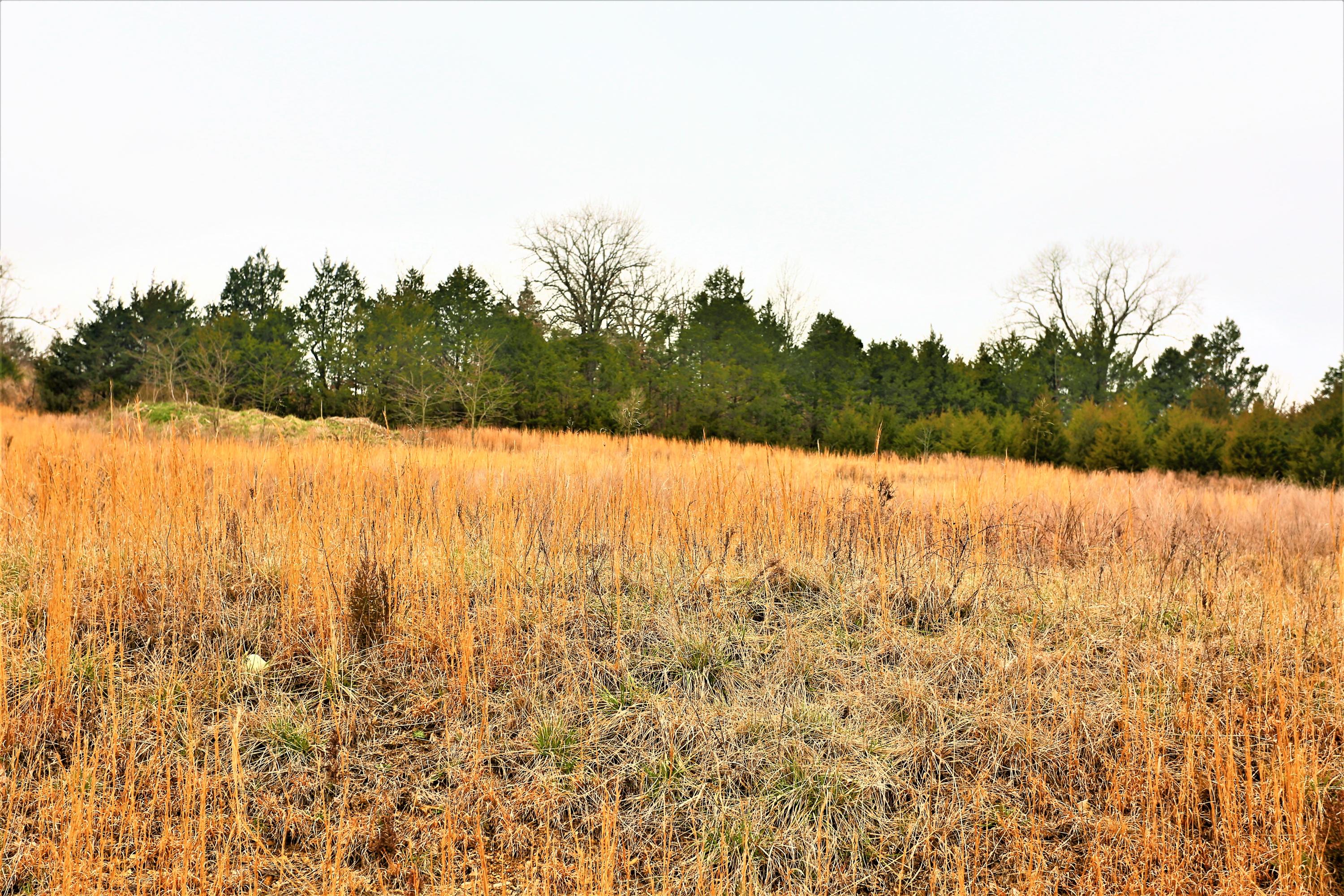 1278 Coon Creek Road Property Photo 46