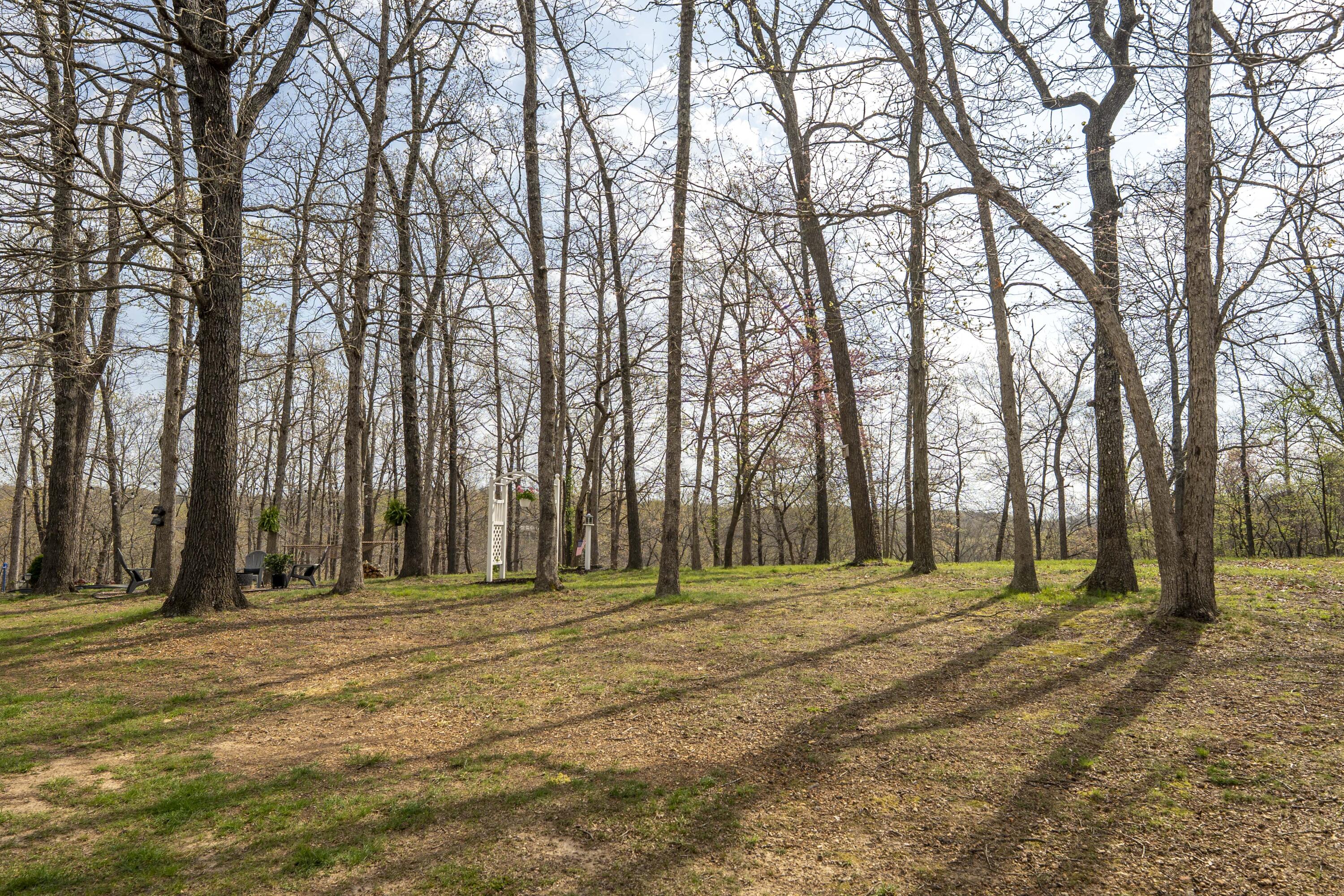 50 Tall Tree Drive Property Photo 61