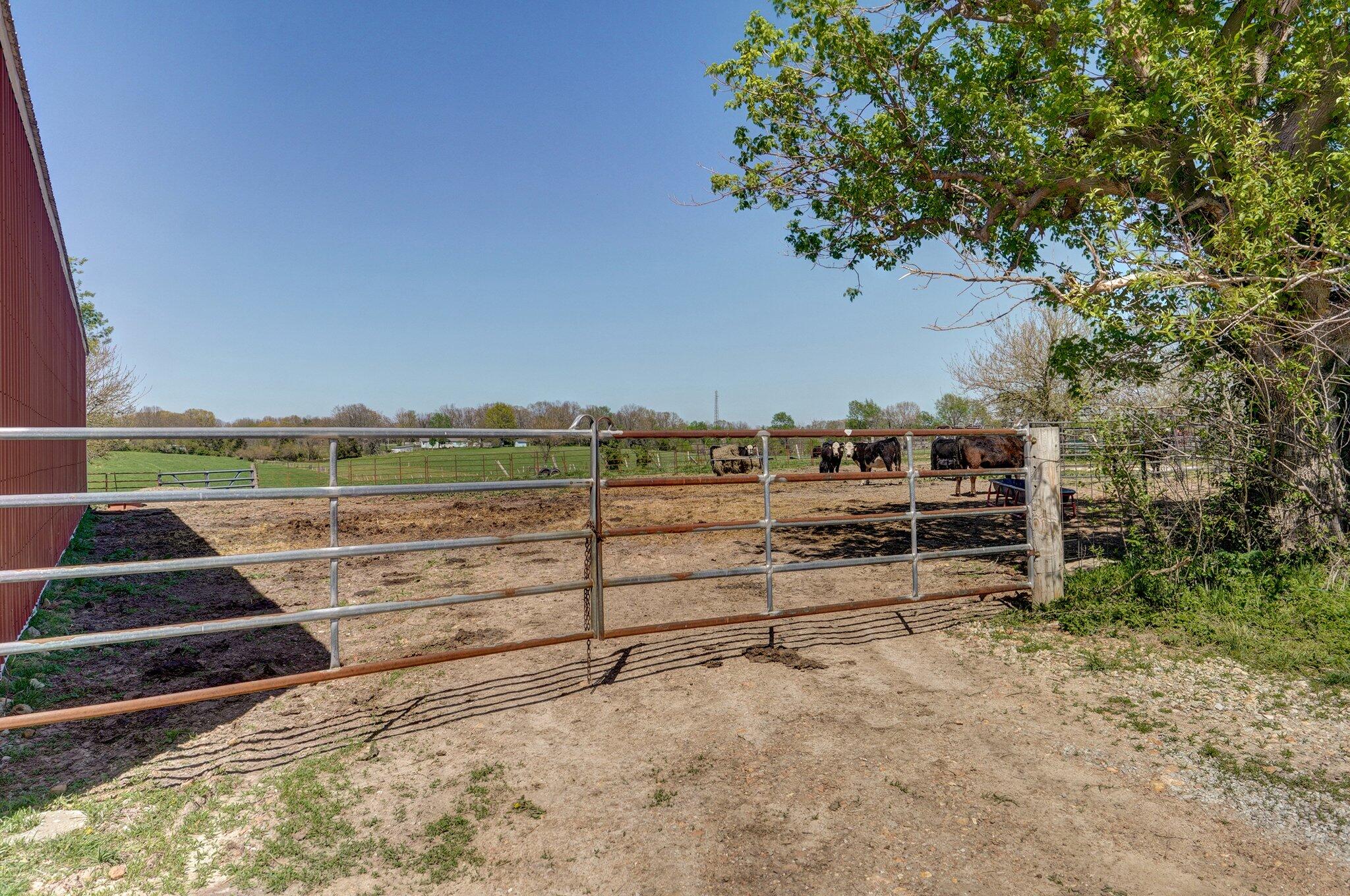 231 Cedar Stone Property Photo 91