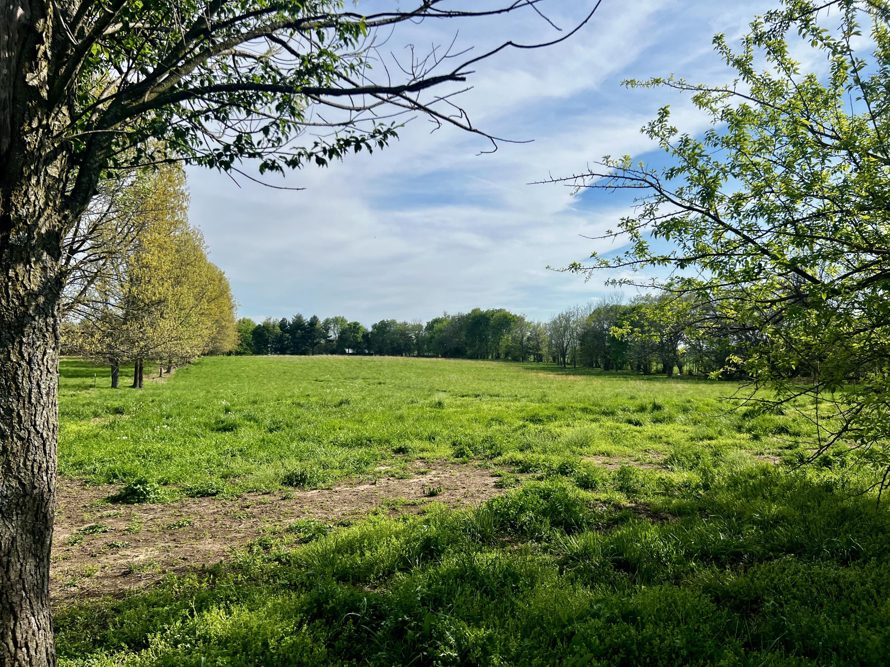 Property Photo 44
