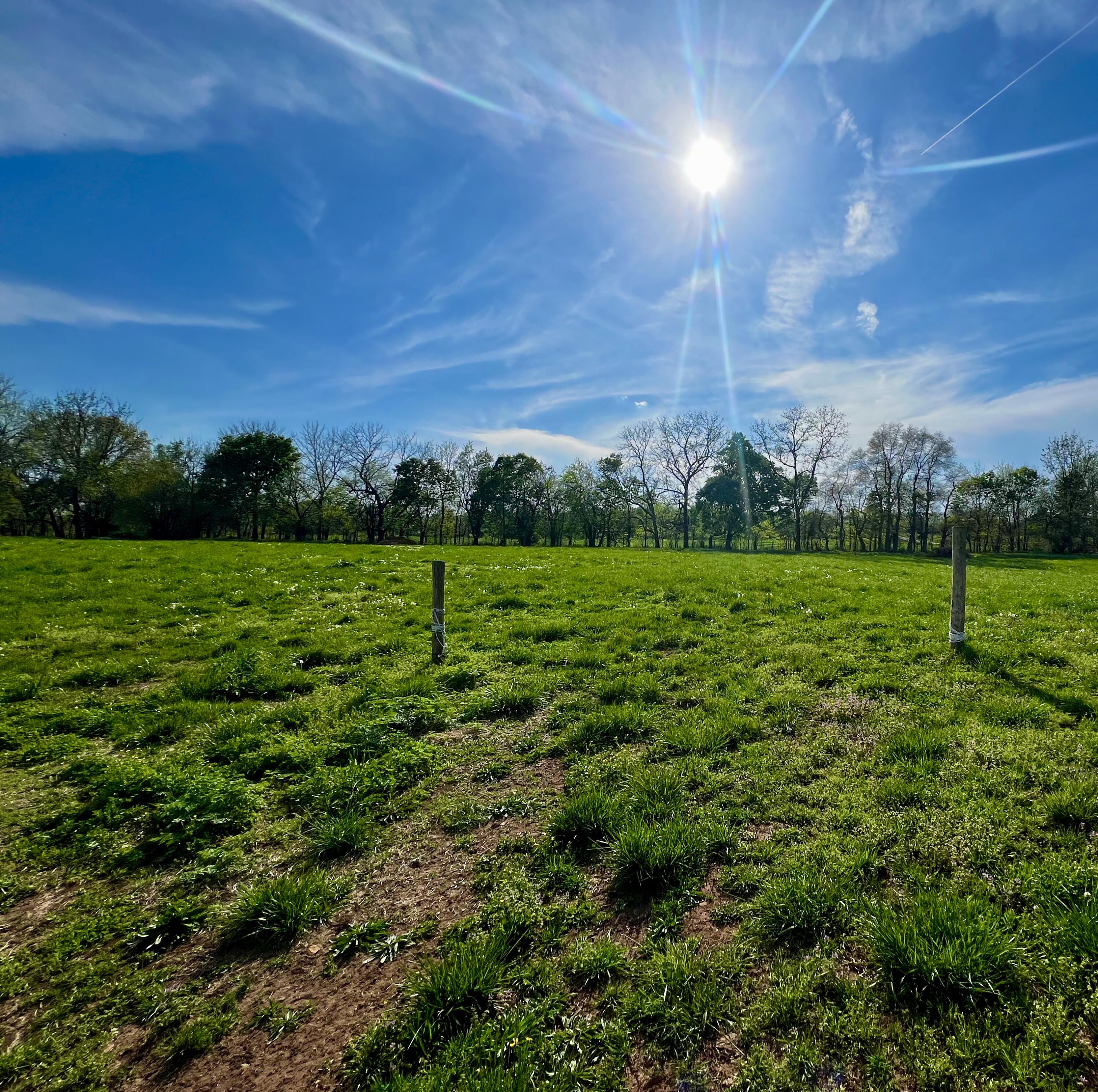 Property Photo 51