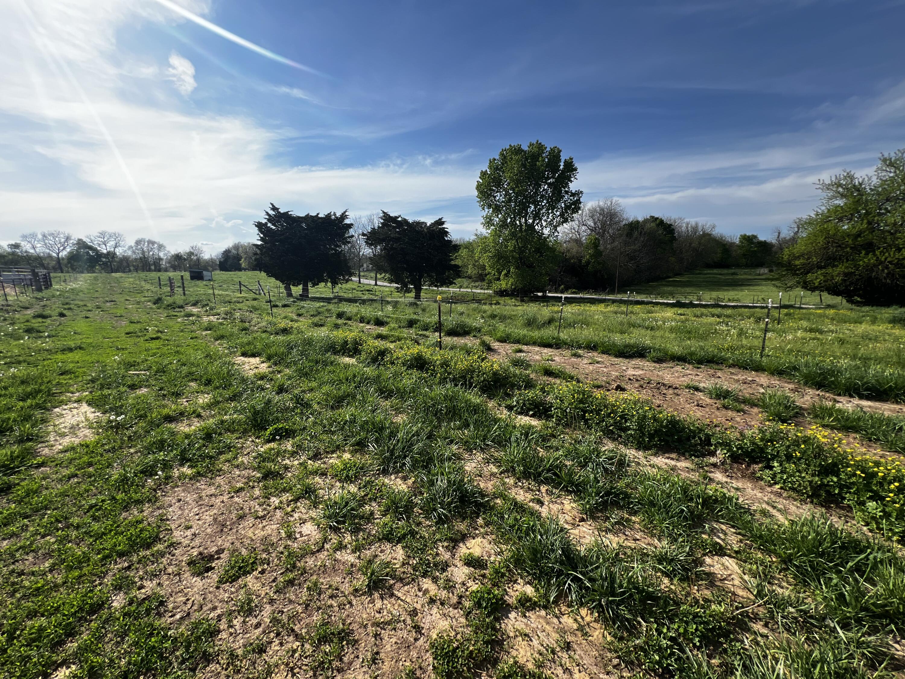 Property Photo 54