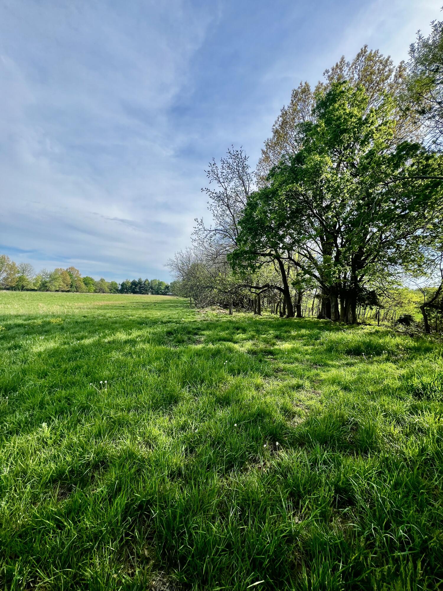 Property Photo 61