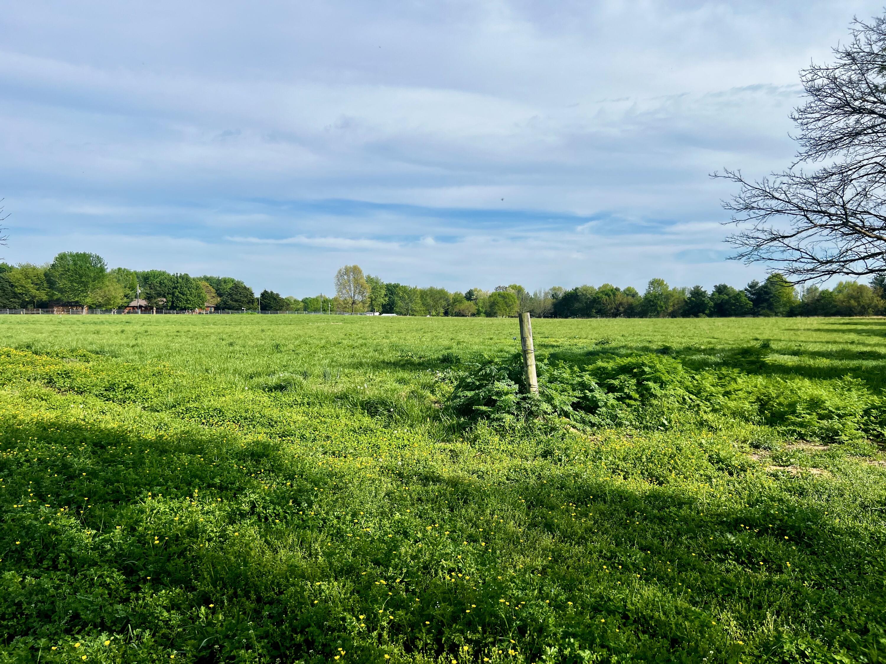 Property Photo 63