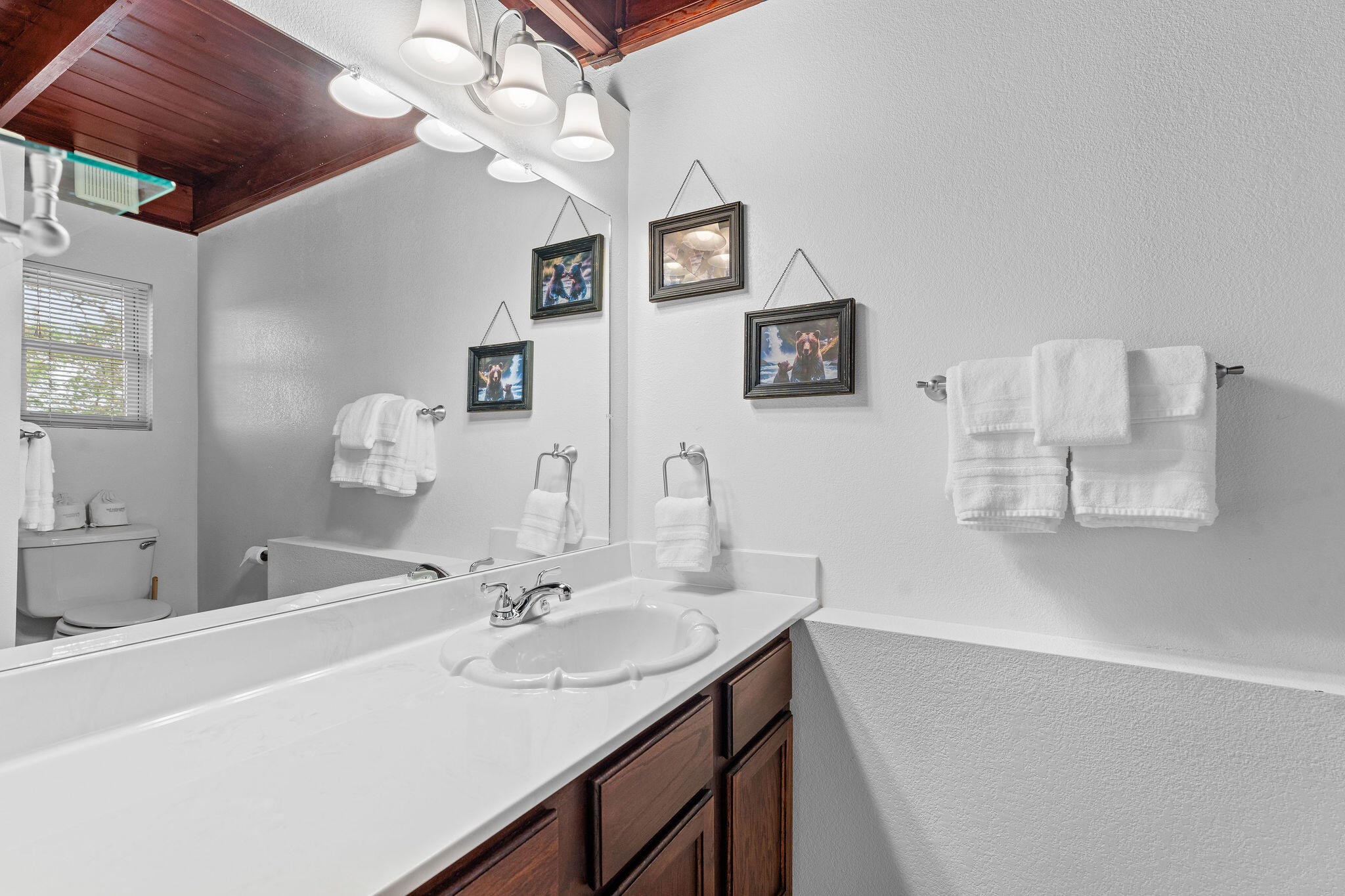 22244 North Highway 281 Property Photo 27