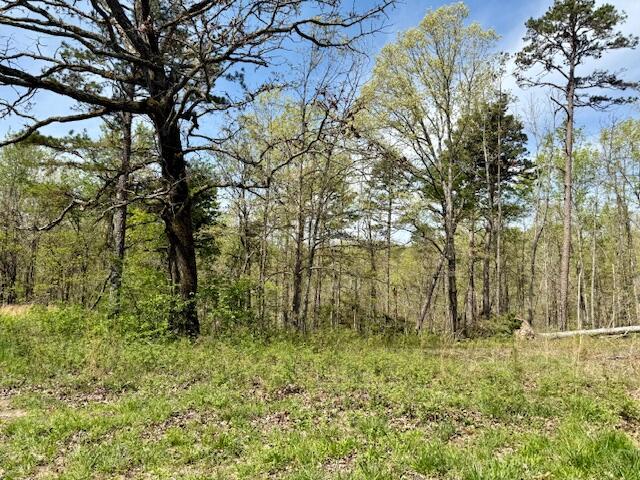 2955 County Road 156 Property Photo 23