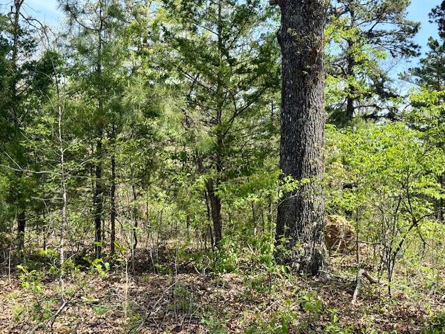 2955 County Road 156 Property Photo 24