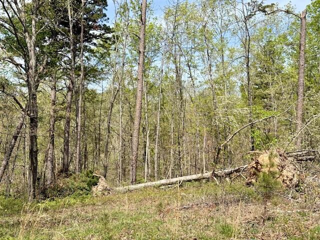 2955 County Road 156 Property Photo 25