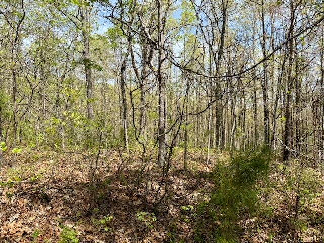 2955 County Road 156 Property Photo 26