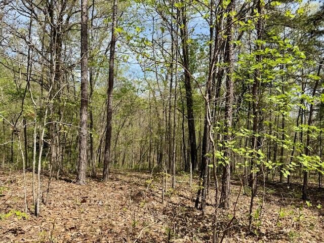 2955 County Road 156 Property Photo 27