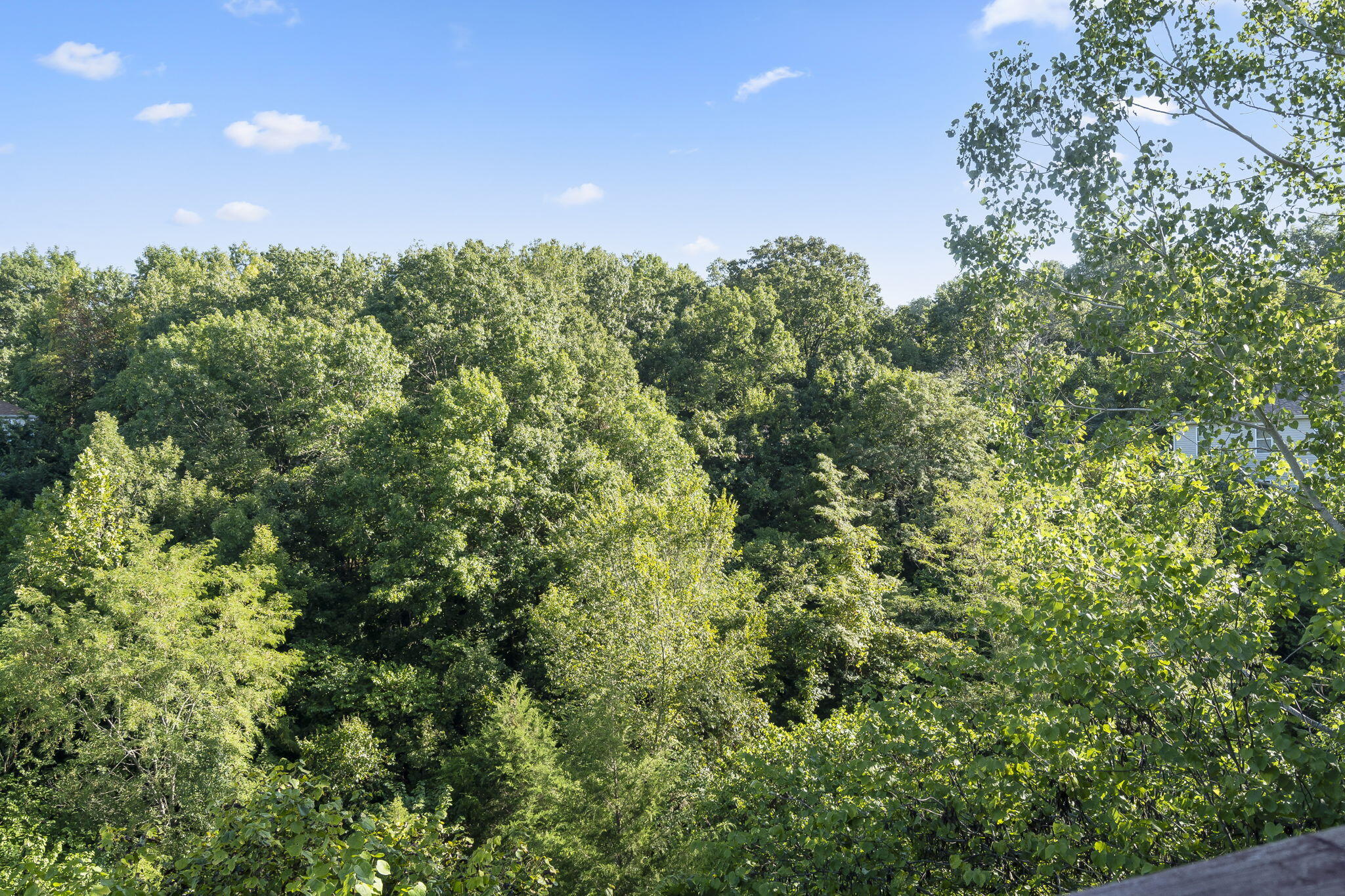 1207 Westwood Drive Property Photo 6
