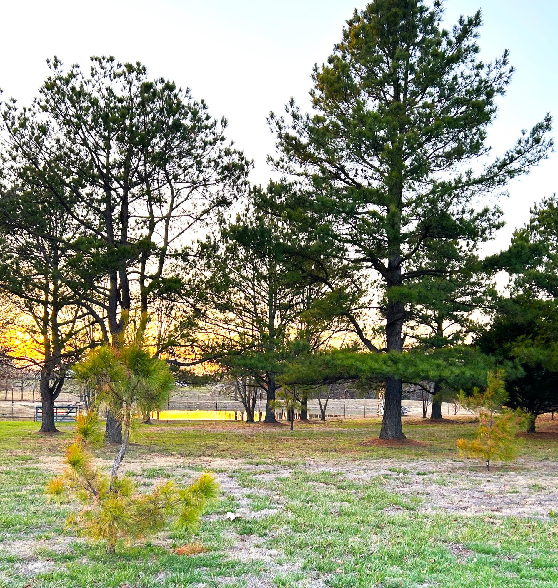 1156 Northeast 50th Road Property Photo 11