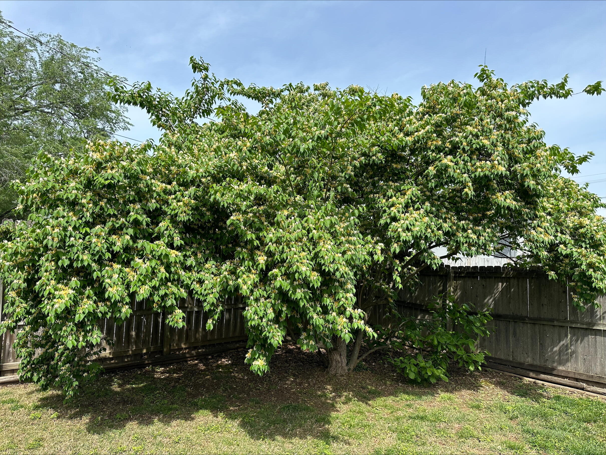 1825 South Prairie Lane Property Photo 11