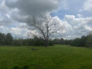 0000 Edgemond Drive Property Photo 1