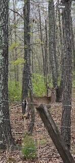 0000 Edgemond Drive Property Photo 2