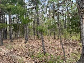 0000 Edgemond Drive Property Photo 4