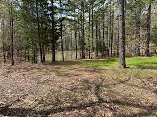 0000 Edgemond Drive Property Photo 5