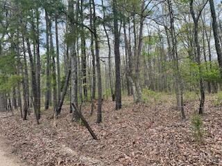 0000 Edgemond Drive Property Photo 7