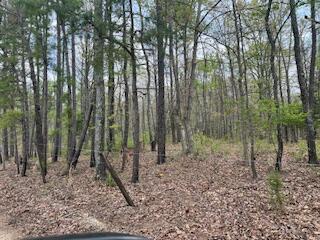 0000 Edgemond Drive Property Photo 8