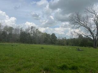 0000 Edgemond Drive Property Photo 12