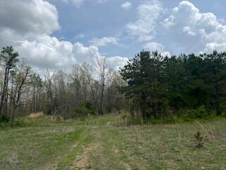 0000 Edgemond Drive Property Photo 15