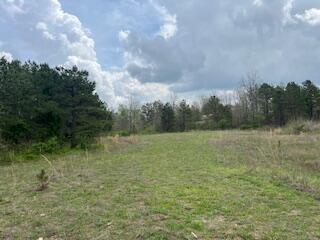 0000 Edgemond Drive Property Photo 16