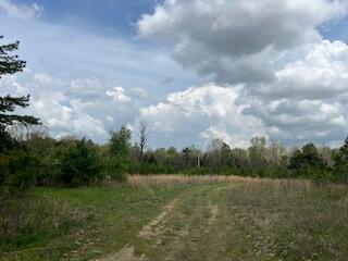 0000 Edgemond Drive Property Photo 18