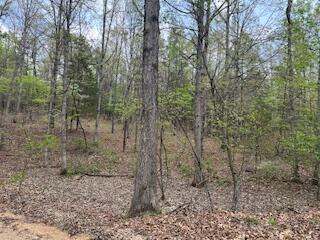 0000 Edgemond Drive Property Photo 19