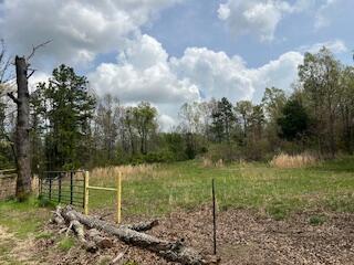 0000 Edgemond Drive Property Photo 20