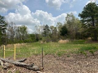 0000 Edgemond Drive Property Photo 21