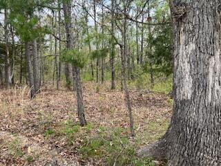 0000 Edgemond Drive Property Photo 22