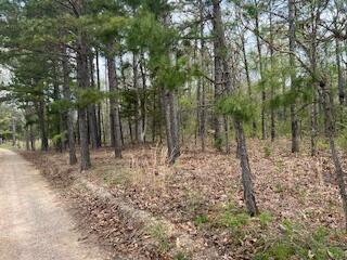 0000 Edgemond Drive Property Photo 23