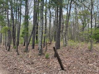 0000 Edgemond Drive Property Photo 25