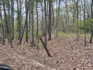 0000 Edgemond Drive Property Photo 26