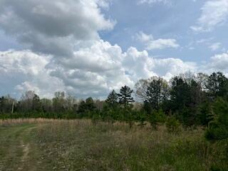 0000 Edgemond Drive Property Photo 27