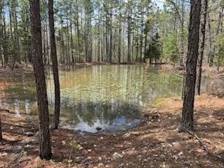 0000 Edgemond Drive Property Photo 28