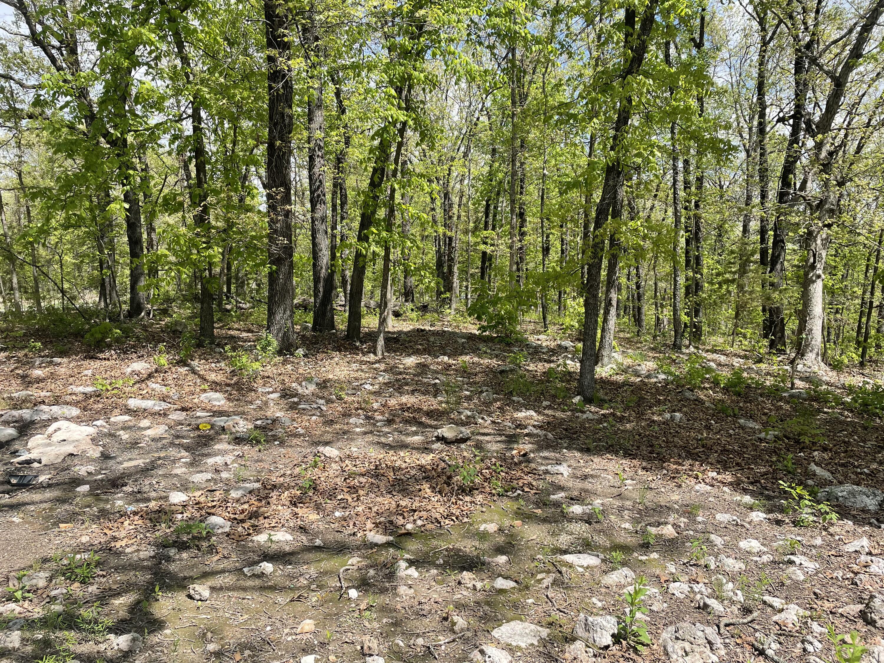 26550 County Rd 331 Property Photo 5