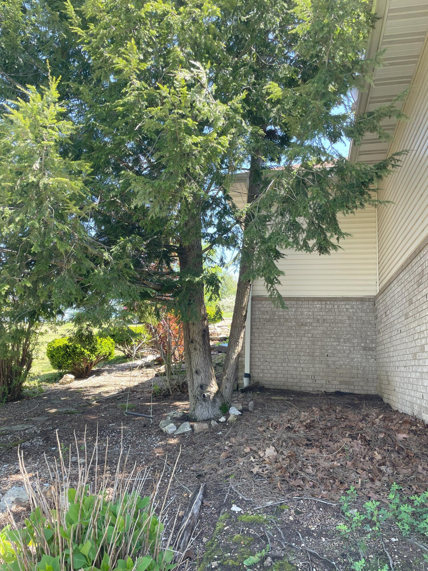 1913 Wayside Lane Property Photo 13