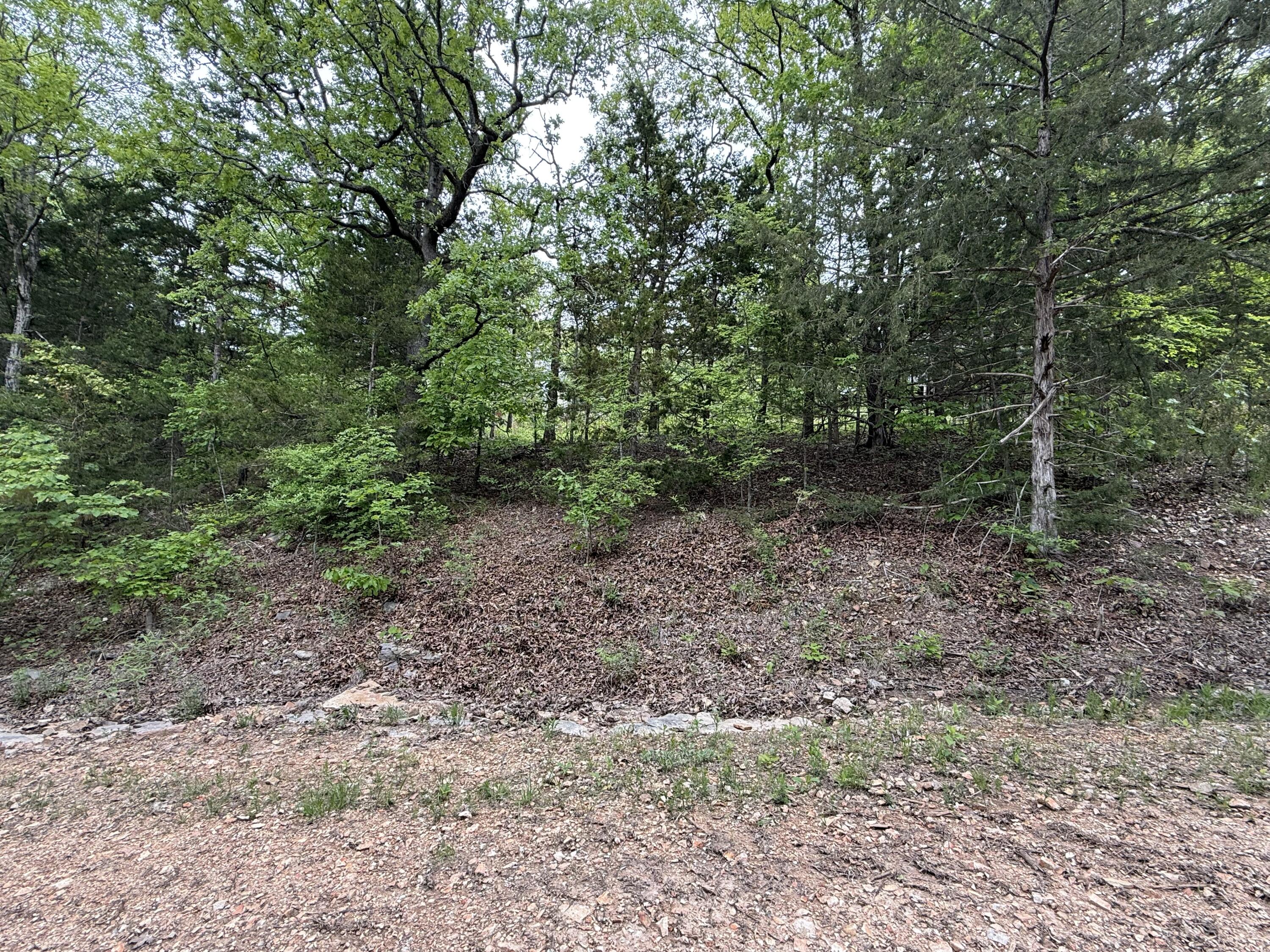 301 Oakview Drive Property Photo 46