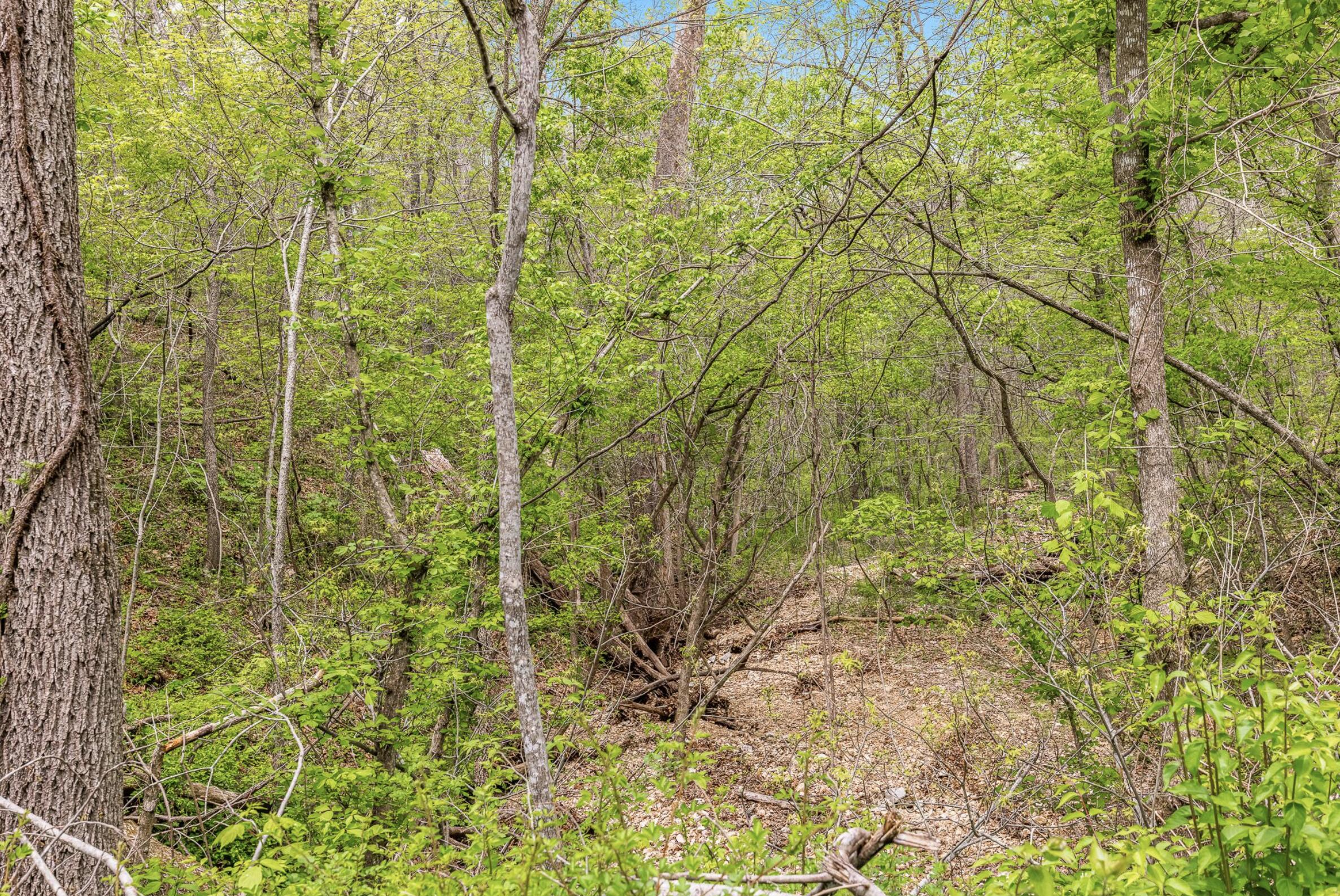 2457 Azalea Road Property Photo 66