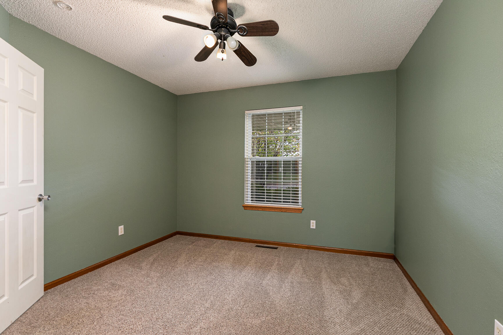 540 South Flint Property Photo 24