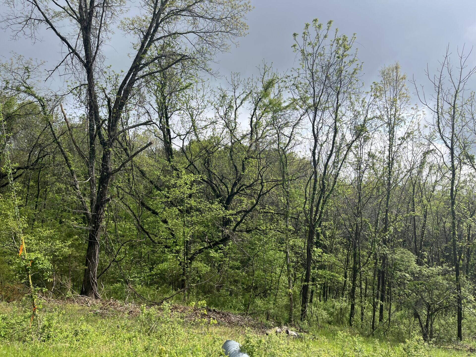 000 Lot 169 Panorama Drive Property Photo