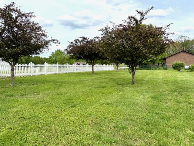 311 Cantrell Property Photo 6