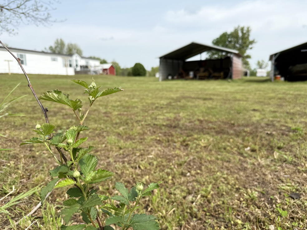 9177 South 751 Road Property Photo 29
