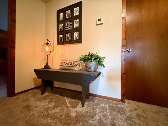 18549 County Road 427 Property Photo 35
