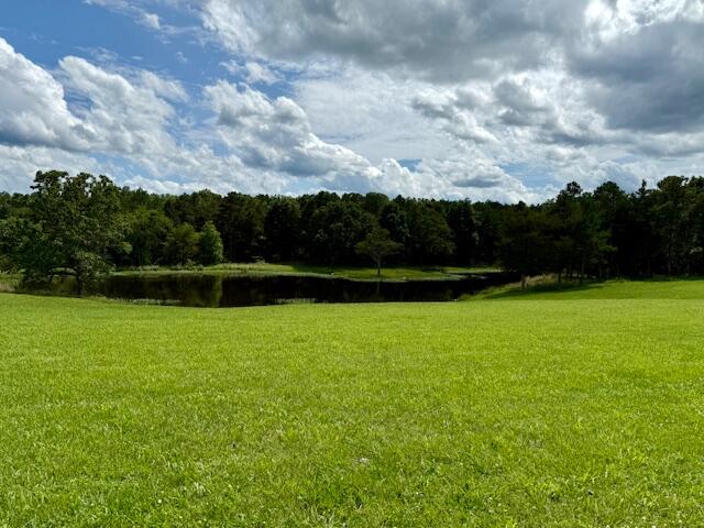18549 County Road 427 Property Photo 46