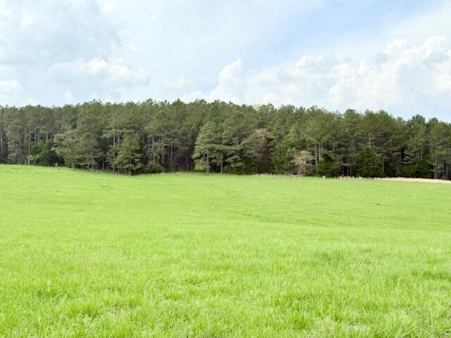 18549 County Road 427 Property Photo 56