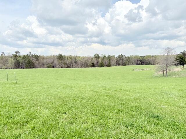 18549 County Road 427 Property Photo 57