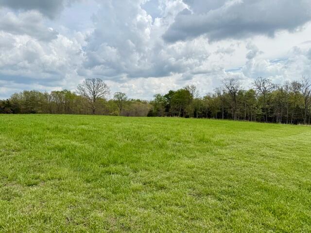 18549 County Road 427 Property Photo 58