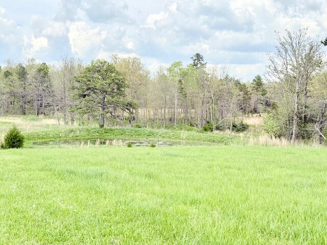 18549 County Road 427 Property Photo 59